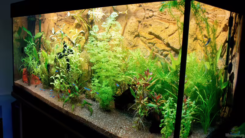 Eckansicht 08.10.2013 von solo (13)