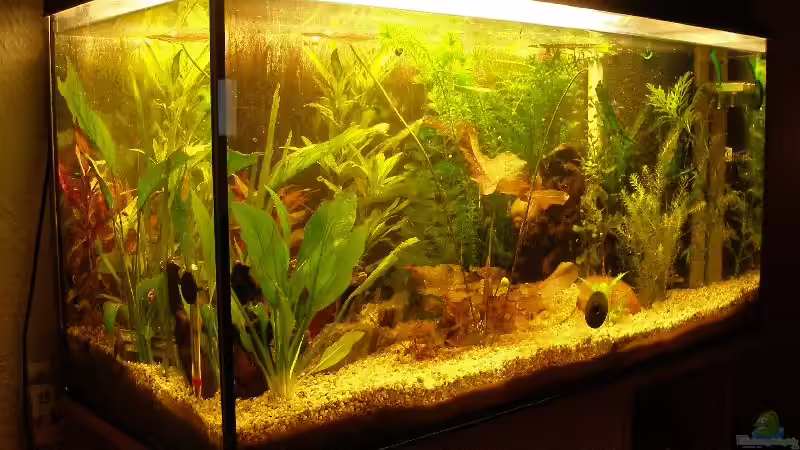 Eckaufnahme von Maja Knodel (2)