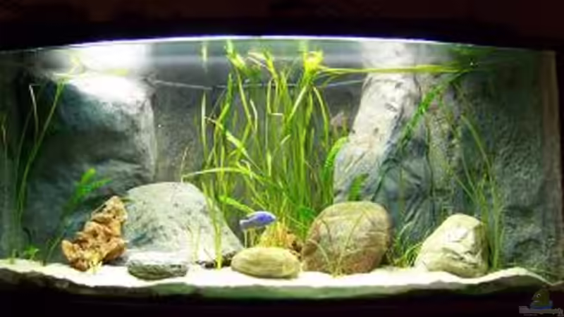 Eckbecken gebogene Scheibe von tobschen (1)