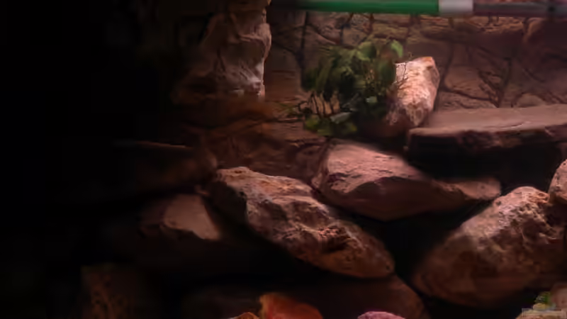 Ecke links von Herki (12)