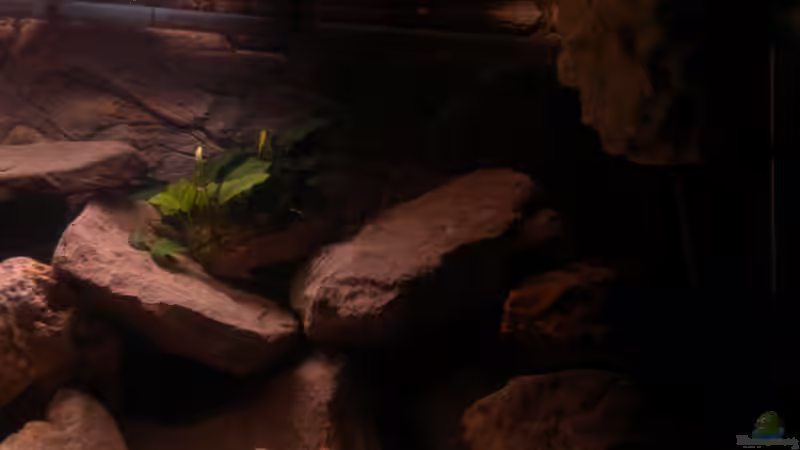 Ecke rechts alt von Herki (13)