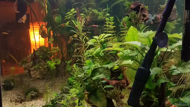 Ecke rechts hinten  von Aquarius1988 (7)