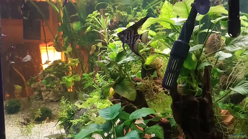 Ecke rechts hinten  von Aquarius1988 (8)