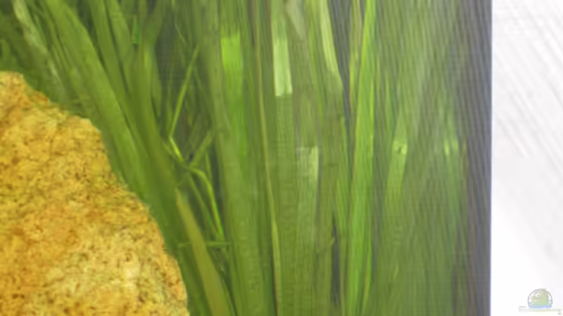 Eckfilter versteckt von Henning Brinkmann (16)