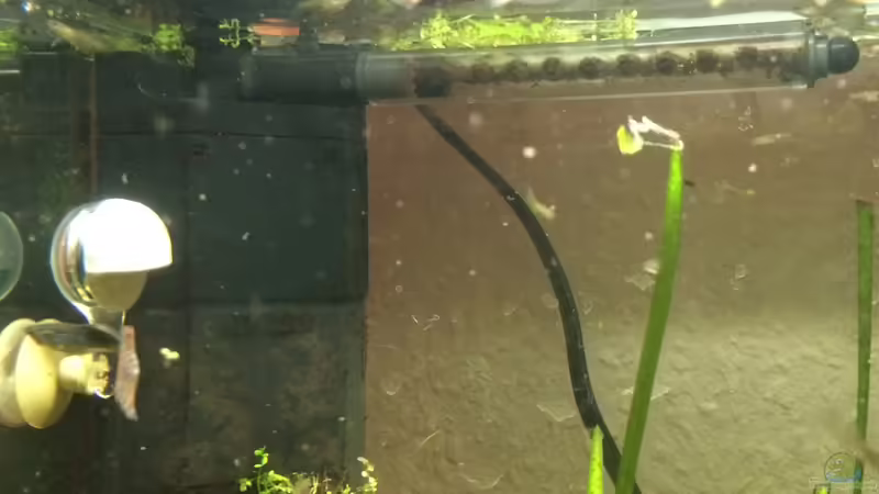 Eckfilter von X-Rayminator (9)