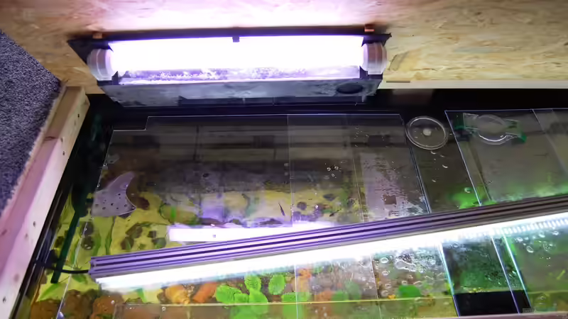 Econlux LED SunStrip noch ohne Befestigung, außerdem die zusätzliche Leuchtstoffröhre von derFalk (30)