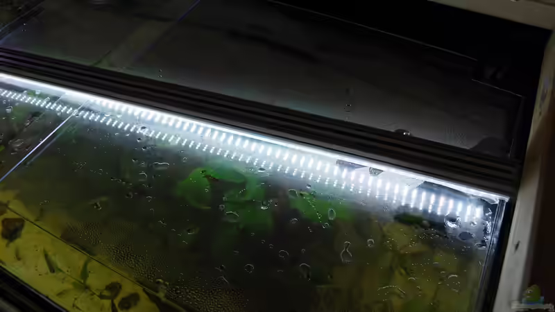 Econlux LED SunStrip noch ohne Befestigung von derFalk (29)