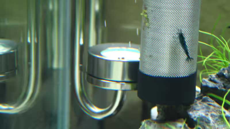 Edelstahl Diffusor und Filter Guard von X-Rayminator (29)