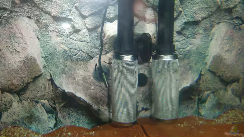 Edelstahlansaugkorb von HOTU (33)