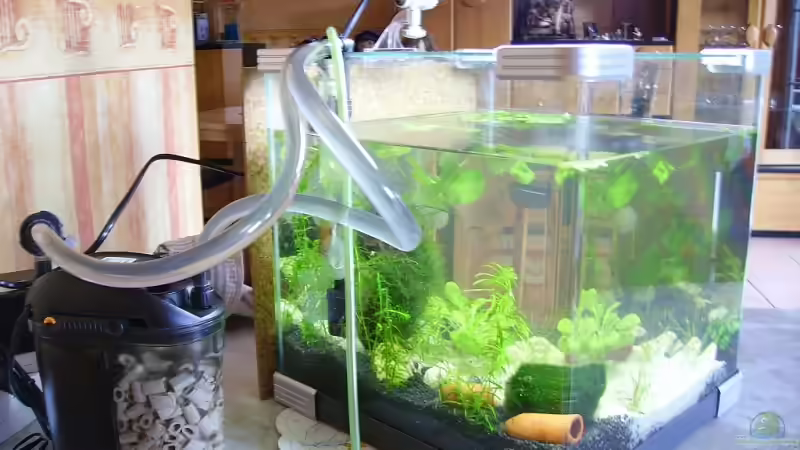 Eden 501 Außenfilter von WSS (12)