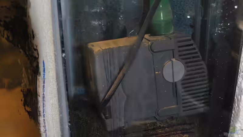 Eheim +2000 combact von DominikZ (9)