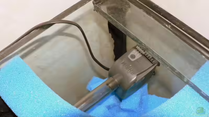 Eheim 1000 Pumpe von Peter Giesbrecht (14)