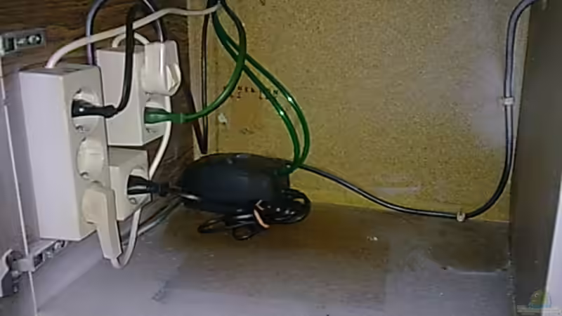 Eheim 200 von Bulldog1112 (20)