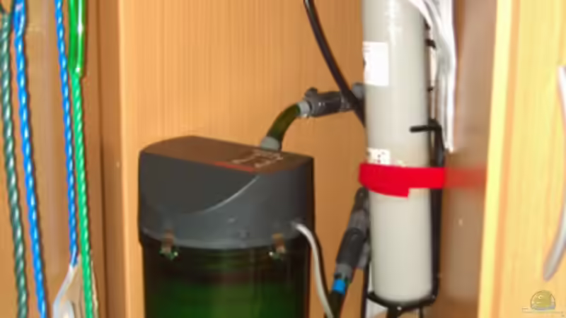 Eheim 2015 und SERA CO2 Anlage ( Der alte Filter) von Thomas Ahrens (15)