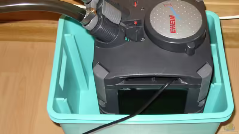 Eheim 2026 beim einlaufen von Stonedman (5)