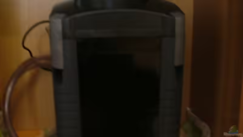 Eheim 2026 professional II von LoidlStef (7)