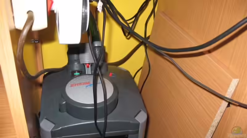 eheim 2026 von Gabriel Lechner (15)