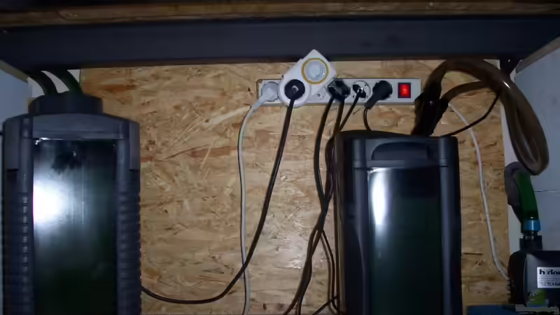 Eheim 2028, JBL CP 250, und Hydor L 40 II von Stephan Ascher (29)