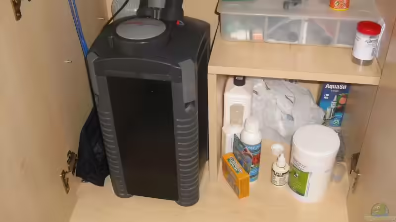 Eheim 2028 und dahinter CO2 Anlage von nemo0109 (24)