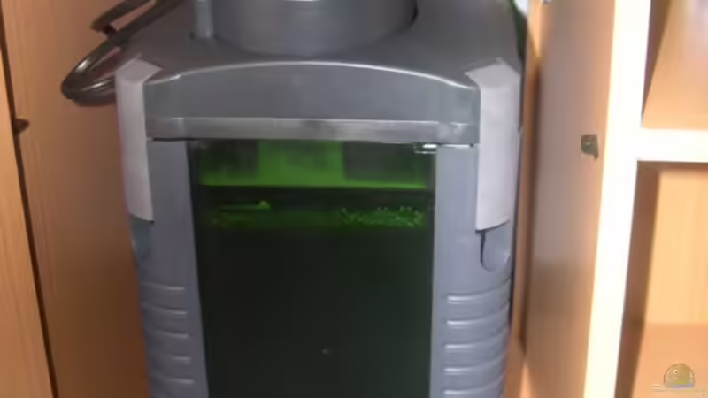 Eheim 2028 von Christopher Winkler (4)