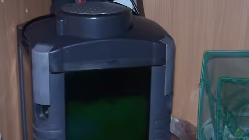 Eheim 2028 von Rene Sarink (18)