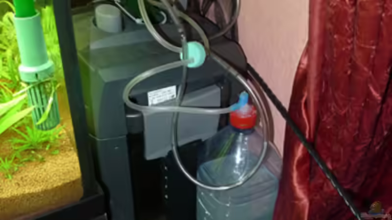 Eheim 2073 und CO2 Anlage Marke Eigenbau ( 2 Liter Flasche ) von Flevus (16)