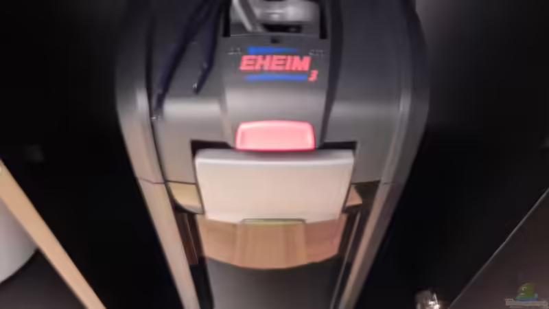 Eheim 2075 . Volle Kraft voraus von Sternenseeträumer (18)