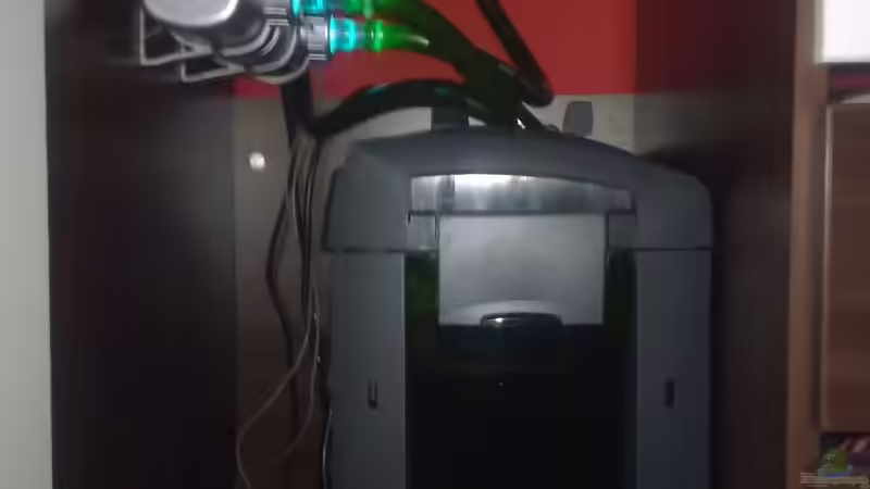 Eheim 2078 e und JBL UV 18-watt von Matze 87 (21)