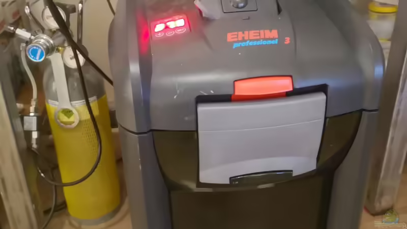 Eheim 2080 Thermo von Stefan Heins (18)