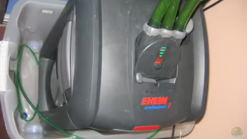 Eheim 2080 von Vicky Gröbl (20)