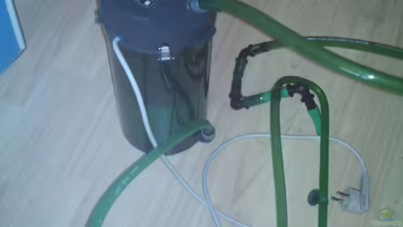 Eheim 2113 von Ronny Laumer (5)