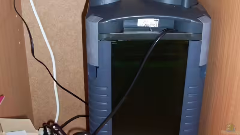 EHEIM 2128 Thermo von PioMisSambia (12)