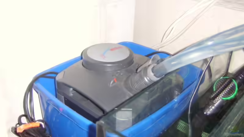 Eheim 2128 von Jens Schneider (13)