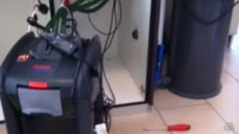 Eheim 2180 und PVC Filter von Jennifer Clee (27)