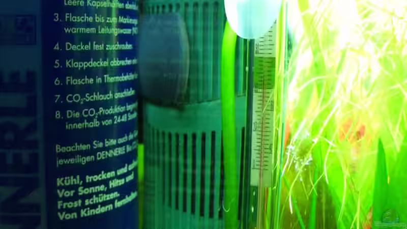 Eheim 2212 + Bio-CO2 von André Martin (11)