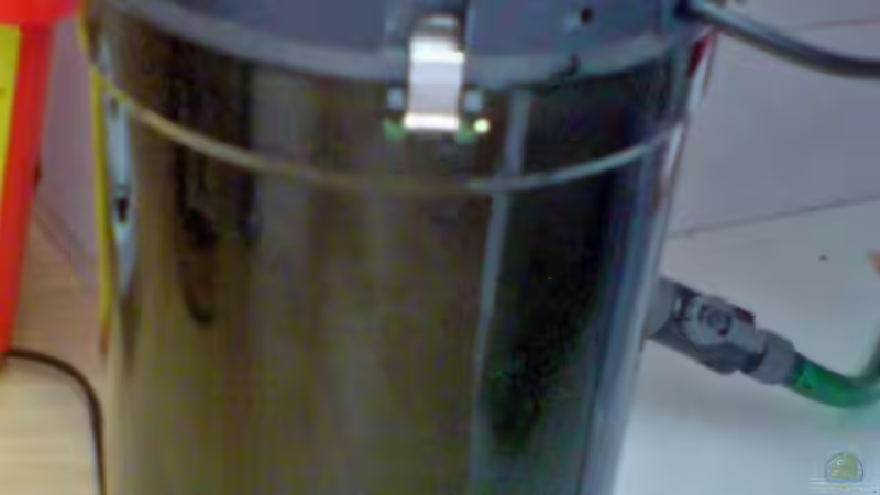 Eheim 2213 von Achim Dengler (23)