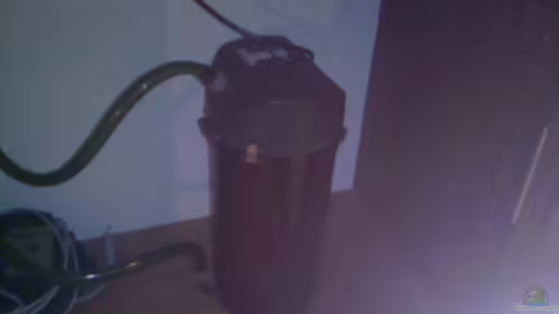 Eheim 2213 von Ingo Weiß (8)