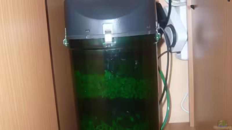 Eheim 2215 Classic, Dennerle Professional Co²-Anlage mit Nachtabschaltung von Dennis (13)