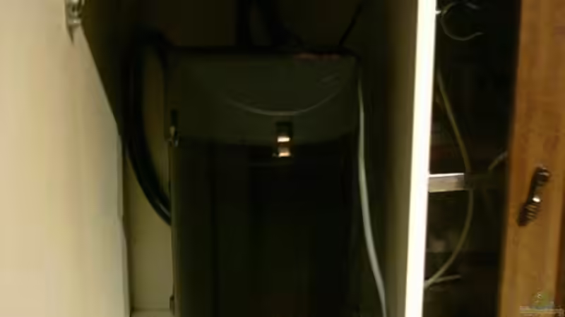 Eheim 2217 von Marcel Scheidt (5)