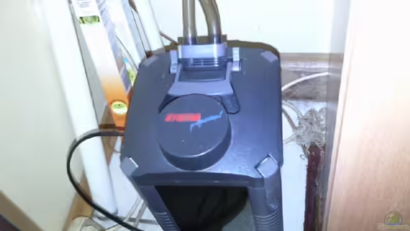 Aquarienfilter mit Filterwatte