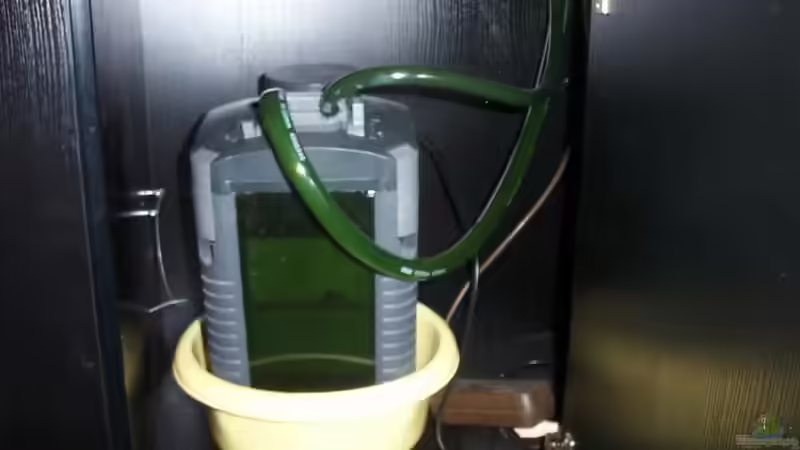 Eheim 2226 von Christian Horn (8)