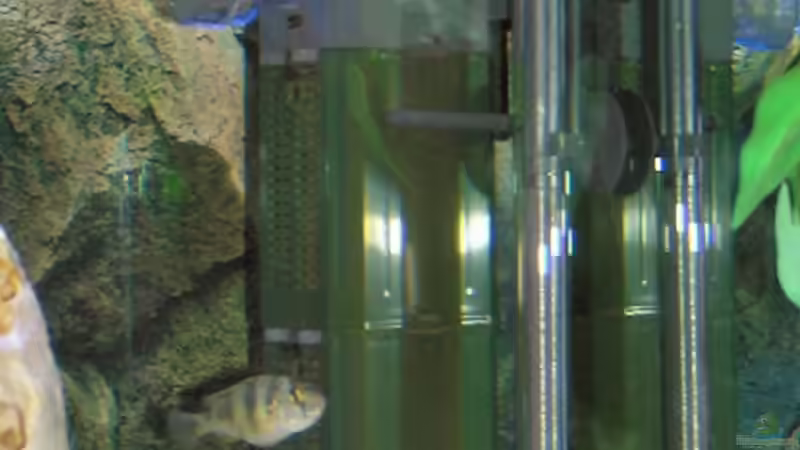 Eheim 2252 - Jäger Heizstab 3608 von mbuna-guwo (8)