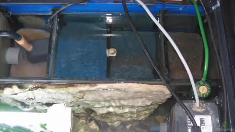 Eheim 2252, heizung und Biofilter von Gringo (6)