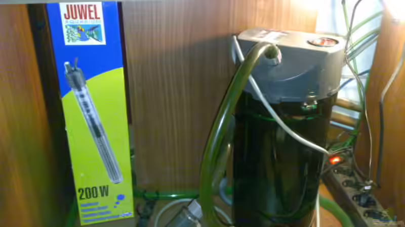 Eheim 2313 von Golly14 (3)