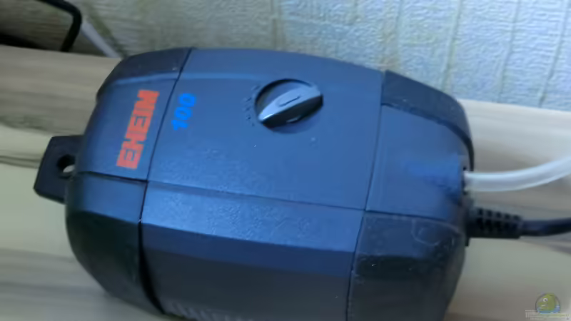 Eheim Air100 von Walde (80)