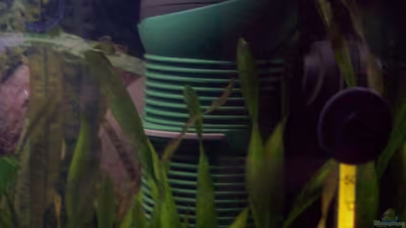 EHEIM aquaball 130  von Bela (12)