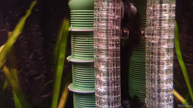 Eheim Aquaball 180 von Dieter (45)