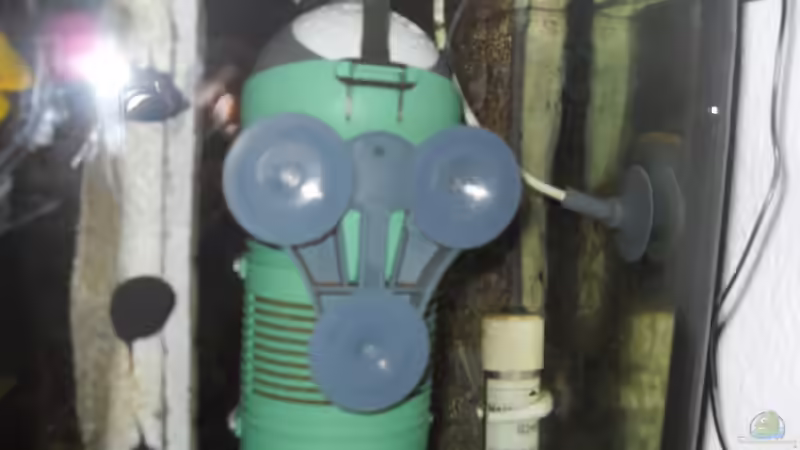 Eheim Aquaball 180 von Dr. Manhattan (18)