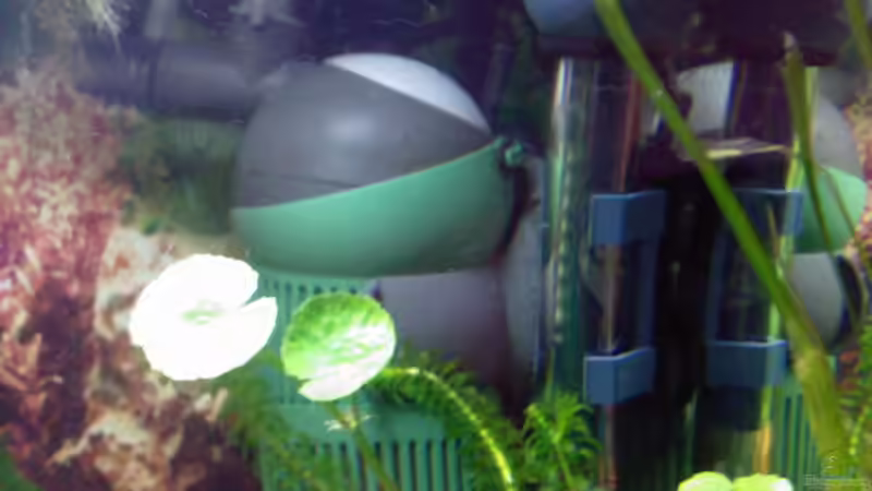 Eheim Aquaball 2208, Thermometer von @corydoras (7)