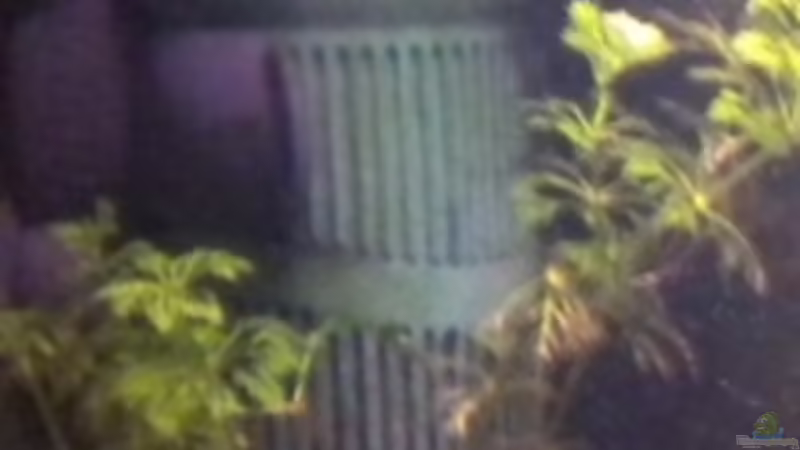 Eheim Aquaball 2208 von Marci (10)